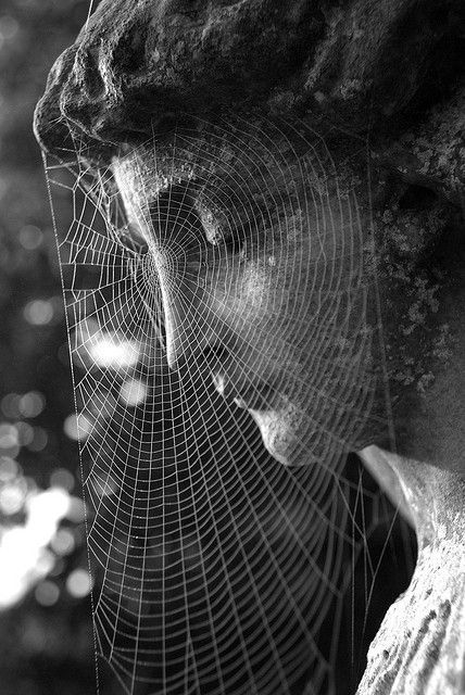 Dreams about spiders and spider webs
